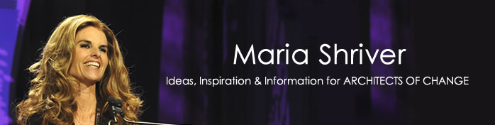 ms-newsletter-header 4